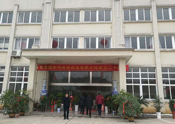 芜湖耐得二十周年庆-2