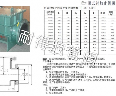 卧式衬胶止回阀-3